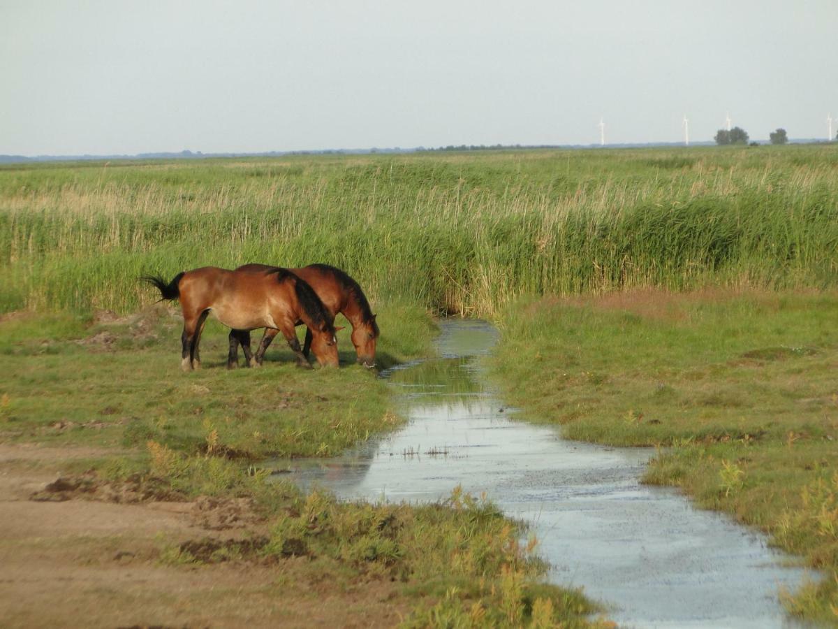 Zacisze Domki Letniskowe Karsibor Свиноуйсьце Экстерьер фото